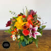 A sweet autumn arrangement, made of oranges and yellow in a square