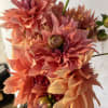 Its dahlia season and we at the studio are over-joyed!!  A