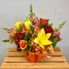 Celebrate the season of pumpkins and send this custom Coady&#039;s design, arranged