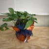 A 6&quot; wrapped pothos plant with a bow. 