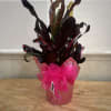 A 6&quot; wrapped croton with a bow. 