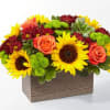 Delight your friends and family with an assortment of bright Autumn colors