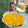 Yellow roses 