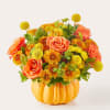 Celebrate a birthday, offer a get well wish, or brighten up your