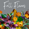 Let our Designers create the perfect floral arrangement using the freshest flowers