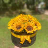 Beautiful medium size box with sunflowers ideal for any occasion, available every