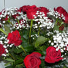 Long Stem Roses, Dendrobium Orchids, Fancy Greens 
The Rose will be Red