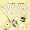 enjoy a fresh water vase arrangement as a designers choice, Colorful and