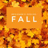 Designer&#039;s Choice - Fall