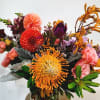 Beautiful flowers make for beautiful colors!  Pin Cushion proteas, snapdragons, kangaroo