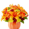 Nothing says Fall like pumpkins, so brighten someone&#039;s day with the Harvest