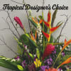 Give our designer&#039;s full creative freedom to create a beautiful tropical arrangement!