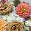 Elevate your space with a stunning mix of Toffee garden roses with