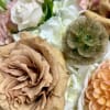 Elevate your space with a stunning mix of Toffee garden roses with