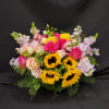 Bright &amp; Pet-Friendly Blooms &ndash; Safe for Cats &amp; Dogs
Bring a burst