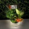 This time of year, give the gift of a personal garden to