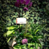This time of year, give the gift of a personal garden to