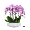 A high quality Eleven pink orchids arrangement with a vase 20&quot; D