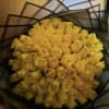 Yellow roses always harmonize wherever they go, since their color emanates happiness