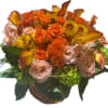 Embrace the season with this unique and captivating fall collection of orange