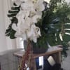 Very natural and organic look of white and green flowers 