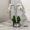 A high quality Double white orchids arrangement with a vase 9&quot; D