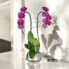 A high quality Double purple orchids arrangement with a vase 9&quot; D