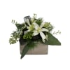 This elegant white wrist corsage is a beautiful floral accessory, perfect for