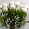 A graceful bouquet of white roses, framed by baby&#039;s-breath filler. The sophisticated