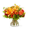 This blooming beauty is bursting with pops of orange, red and yellow