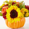 No need to go to the pumpkin patch this year with this