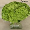Green Hydrangeas beautifully arranged in a modern glass square vase.
