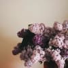 An opulent gathering of lilacs in every hue of plum, mauve, and