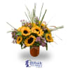 Fall is here everyone. We are still getting beautiful sunflowers and have