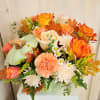 The sage ceramic Pumpkinhas entered the stage in it&#039;s beautifully  soft