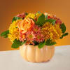 Nothing says Fall like pumpkins, so brighten someone&#039;s day with the Pumpkin