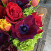 Bright colors 