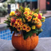 Flowers in yellows, peaches and shades of orange arranged in the pumpkin