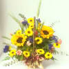 Warm fall flowers of sunflowers and viking daisies with a touch of