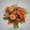 Send the Fall Breeze Bouquet

Embrace the gentle warmth of the season with