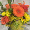 Bright yellows and oranges will cause even the grayest day to shine