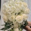 An elegant waterfall of pure white blooms, gracefully flowing with timeless beauty.