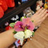Todas nuestras fotos son de trabajo nuestro.
orquideas reales