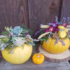 Long lasting unique gifts are created using real pumpkins, decorated with fresh