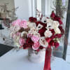 Standard size same as pictured. Container size D6.75&#039;x H7.5&#039;

Deluxe size is next