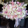 Standard container size D8.25&#039;x H9.5&#039;
Deluxe container size - D10.5&#039;x H12.25&#039;

A statement piece