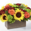 Posies Version  - Celebrate the season with our custom interpretation of