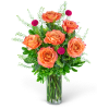 Indulge in the untamed beauty of our Half Dozen Wild and Free