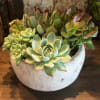 A rustic, but clean bowl of beautiful long lasting succulents!