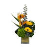 This unique arrangement is designed with Birds of Paradise, Sunflowers, Green Hydrangea